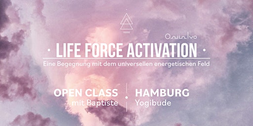 Imagen principal de Life Force Activation - Gruppen-Session