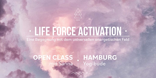 Life Force Activation - Gruppen-Session - Deep Dive II primary image
