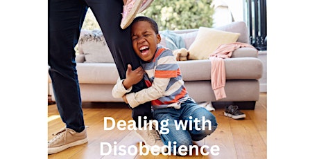 Dealing with Disobedience Discussion Group