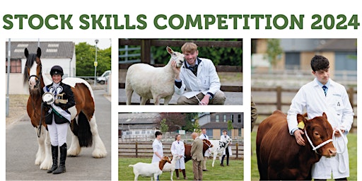 Primaire afbeelding van Stock Skills Competition and T Level Information Talk