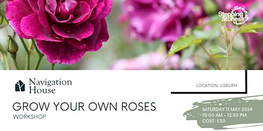 Imagem principal do evento Grow Your Own Roses
