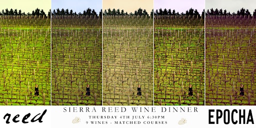 Imagen principal de Sierra Reed Wine Dinner - Wines, Stories & Good Food at Epocha