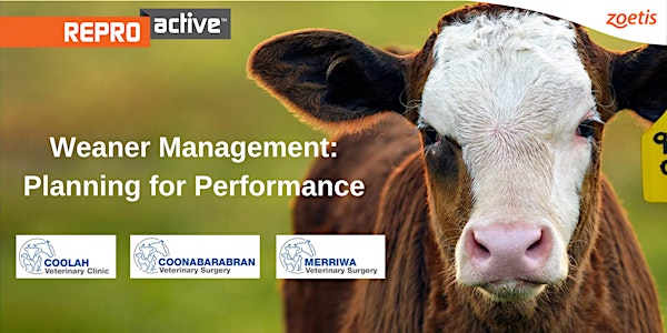 ReproActive Weaner Management - Planning For Performance