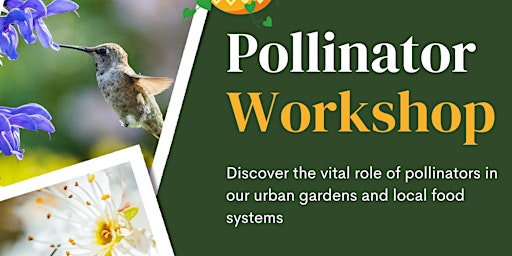 Primaire afbeelding van Pollinator Workshop