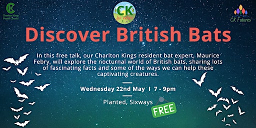 Discover British Bats primary image