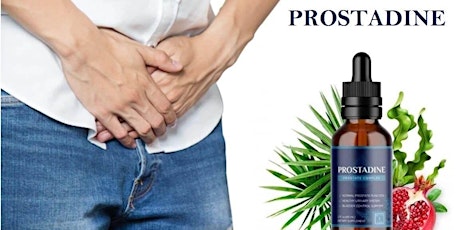 Prostadine Reviews (I've Tested)My Honest Experience Read More Supplement