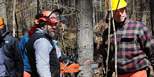 Primaire afbeelding van LEVEL 3 of Game of Logging Chainsaw Training, October 3, 2024