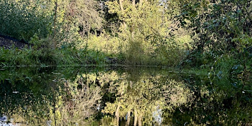 Imagen principal de A Pond Over Time