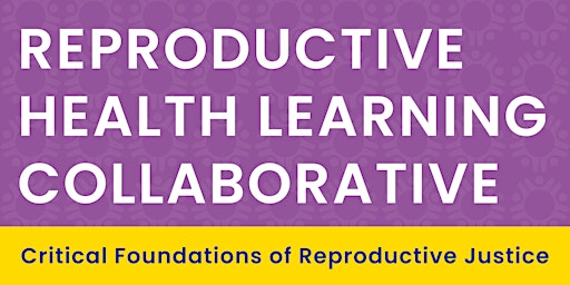 Learning Collaborative: Critical Foundations of Reproductive Justice  primärbild