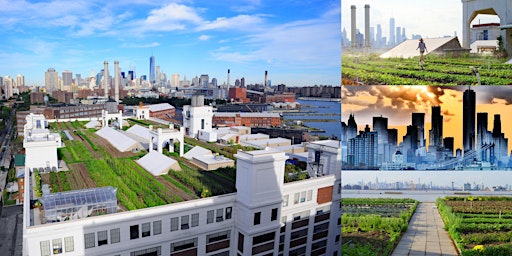 Private Sunset Tour @ Brooklyn Grange, World's Largest Soil Rooftop Farm primary image