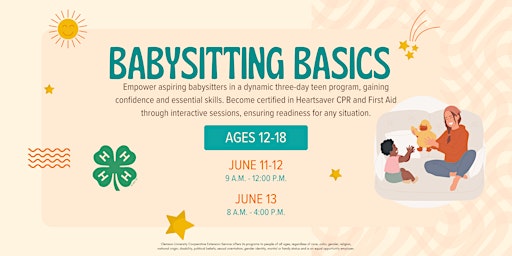 Imagem principal do evento Babysitting Basics