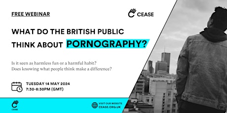 Public perceptions of pornography