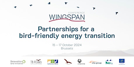 Hauptbild für Wingspan 2024 – Partnerships for a bird-friendly energy transition