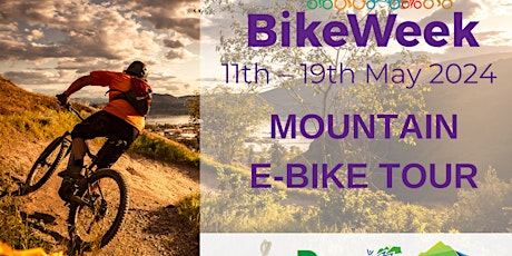 Mountain E-Bike Tour - Bike Week 2024 - Ballinastoe Wood