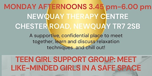 Teen Girl support group in Newquay primary image