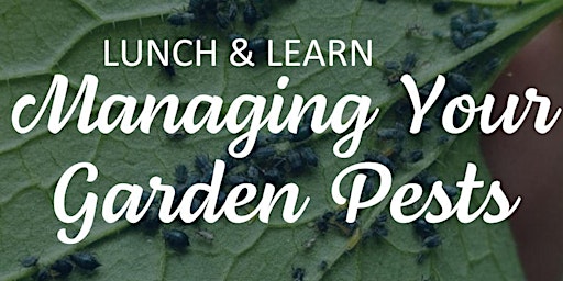 Imagem principal do evento Lunch & Learn: Managing Your Garden Pests