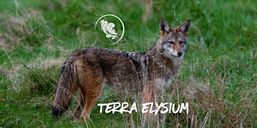 Imagem principal do evento Terra Elysium: Toronto Wildlife Workshop