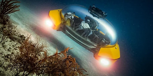 Wish To Go For A Ride In Newest Hottest Submarine Of World ? primary image