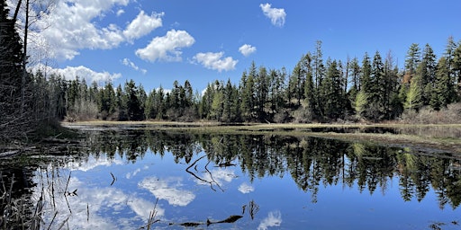 A Unique Wetland Experience primary image