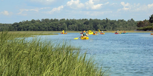 Sunset Kayaking on the Little River Estuary primary image