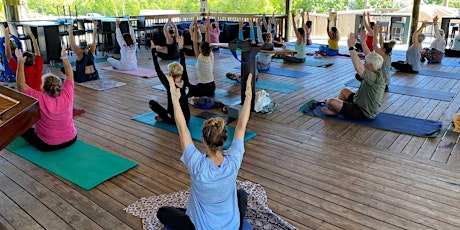 Yoga For The Shelter