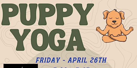 Puppy Yoga at CNY SPCA