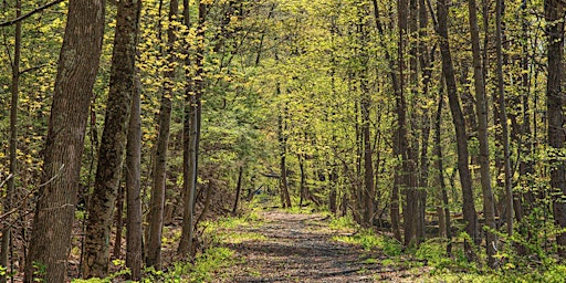 Hauptbild für O&W Trail Corridor Study: Open House (Sullivan County)