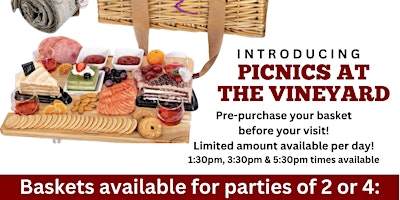 Picnic at the Vineyard primary image