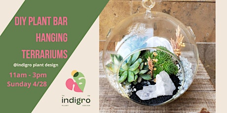 DIY Plant Bar - Hanging Terrariums