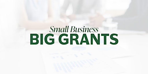 Small Business BIG GRANTS primary image
