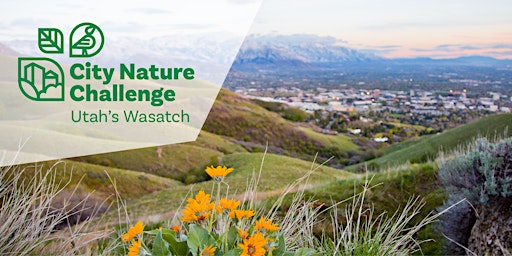 Image principale de City Nature Challenge: iNaturalist Training