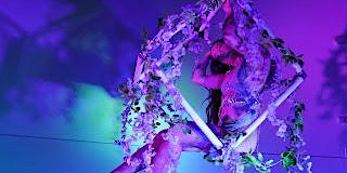 Enchanted: A Pole and Aerial Dinner Show primary image