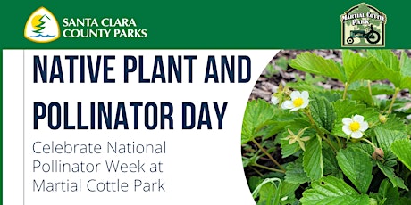 Native Plant and Pollinator Day Walk