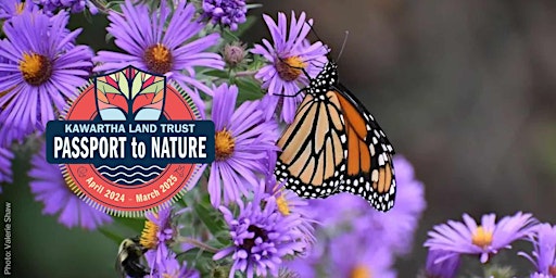 Primaire afbeelding van KLT's Passport to Nature: The Power of Pollinators