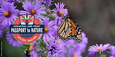 Immagine principale di KLT's Passport to Nature: The Power of Pollinators 