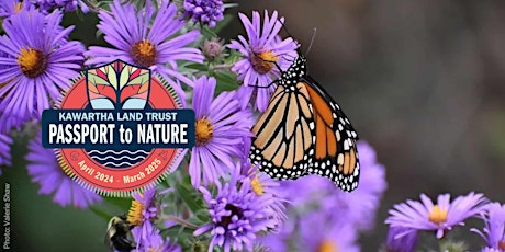KLT's Passport to Nature: The Power of Pollinators