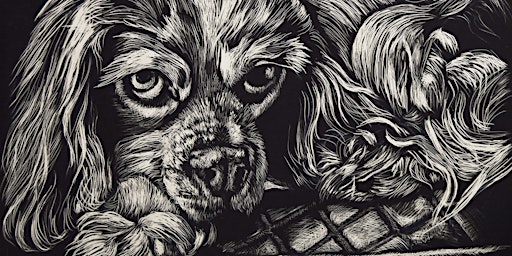 Immagine principale di Working  with Scratchboard May session 
