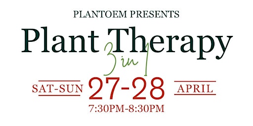 3 in 1 Plant Therapy Meditation with Sounds and Music  primärbild