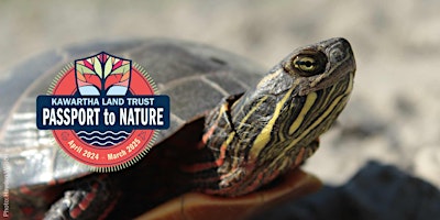 Imagem principal do evento KLT's Passport to Nature: We Love Turtles (and Other Herptiles)