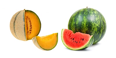 Immagine principale di Successful Production OF Watermelons & Cantaloupes 