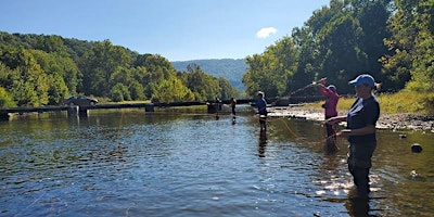Fly Fishing primary image