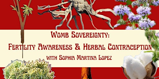 Imagem principal do evento Womb Sovereignty: Fertility Awareness & Herbal Contraception