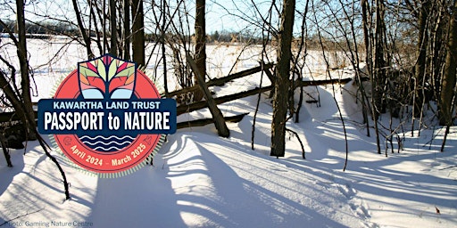 Primaire afbeelding van KLT's Passport to Nature: Celebrate the Winter Solstice Night Hike