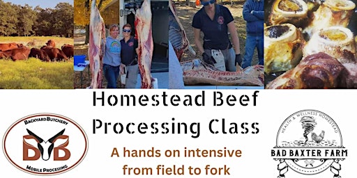 Hauptbild für On Farm Beef Butchery Class