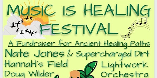 Imagem principal do evento The Music is Healing Festival