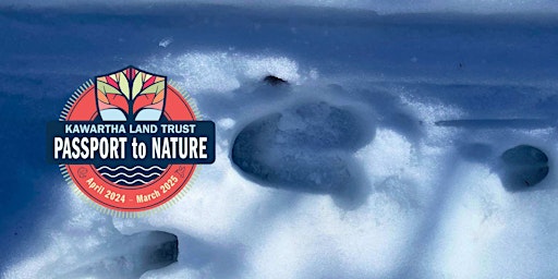 Hauptbild für KLT's Passport to Nature: How to Be a Winter Wildlife Detective