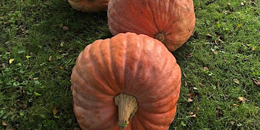 Growing Giant Pumpkins primary image