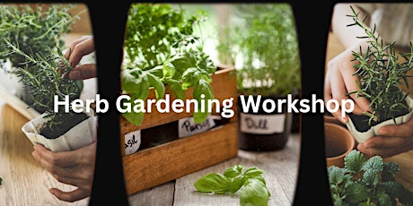 Herb Gardening Workshop with St. Lucie County Master Gardener Volunteer
