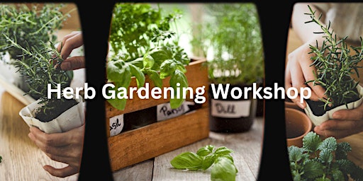 Primaire afbeelding van Herb Gardening Workshop with St. Lucie County Master Gardener Volunteer