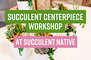 Imagem principal do evento Succulent Centerpiece Workshop